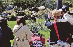 パンダに会えるよ　白浜アドベンチャーＷが営業再開