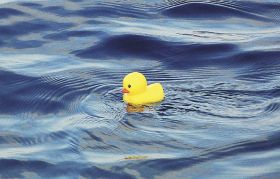 遊び心満点のウキ　　釣っとコラム