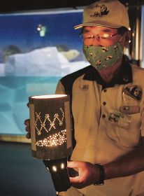 「竹あかり」制作／アドベンチャーワールド／全国でともしてアートに