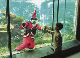 投書歓迎（１２月６日付）