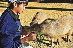 出合えるネズミの仲間／牧康宏