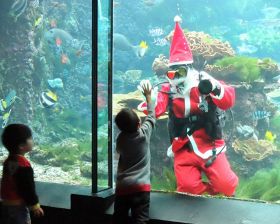 サンタクロースの登場を喜ぶ子ども（１１月３０日、和歌山県串本町有田で）