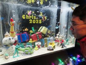 クリスマスにちなんだ特別水槽