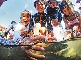 アユつかみ取りに歓声　元気村、多彩な催しににぎわう