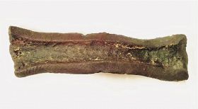 ニッポンの人魚伝説を追って／（６）／王だけが食べる特別な肉／探検家高橋大輔